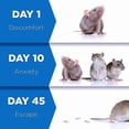 thumbnail image 4 of YANI -4Pcs Ultrasonic Pest Reject Home Control Electronic Repellent Mice Rat Repeller, 4 of 6