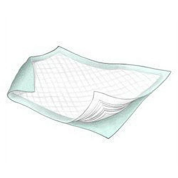 Disposable Incontinence Bed Pads Size 23x24 (200/case)
