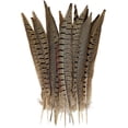 thumbnail image 2 of Plumas de cola de faisán, cuello anillado natural, 1 pluma hembra con púas largas y delgadas para atar moscas y hacer manualidades, moscas realistas y joyería hecha a mano para entusiastas, 2 of 6