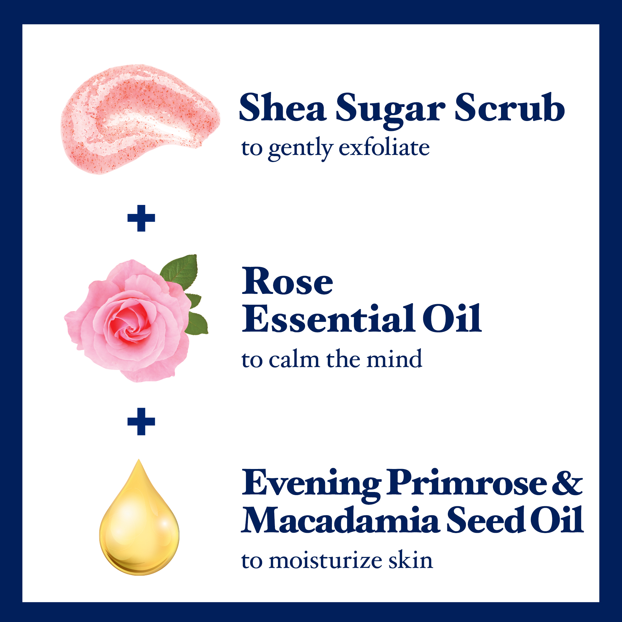 Dr Teal's Shea Sugar Body Scrub with Rose Oil, 19 oz photo 3