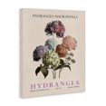 thumbnail image 2 of Stupell Industries Cottage Nature Hydrangea Bundle Canvas Art, 16 x 20, by Christopher Giampietro, 2 of 8