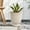 White, variant on Resin Urn Planters for Outdoor Plants, 4x6in Imitation Stone Finish Flower Pot, Distressed Classic for Home Garden Patio, Brown