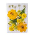 thumbnail image 1 of Flor seca natural DIY Decoraciones florales presionadas con flores en relieve conservadas hermosa decorativa para postal velas de scrapbooking amarillo sidaley HA010778-02, 1 of 7
