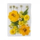 thumbnail image 1 of Flor seca natural DIY Decoraciones florales presionadas con flores en relieve conservadas hermosa decorativa para postal velas de scrapbooking amarillo Yuarrent HA010778-02, 1 of 7
