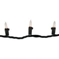 thumbnail image 4 of Northlight Mini Incandescent Christmas Lights - Clear - 20.25' Black Wire - 100ct, 4 of 4