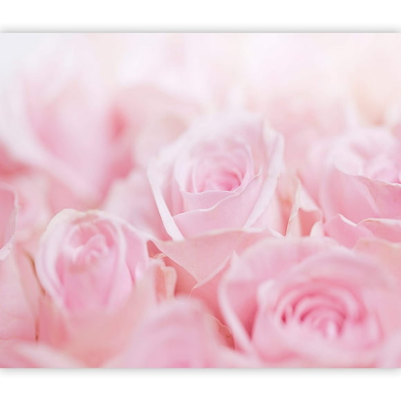 artgeist Wall Mural Flowers Roses 138x101 in - XXL Non-Woven Wallpaper Fleece Wall Decor Photo Print Picture Image Design Home Nature b-B-0471-a-a