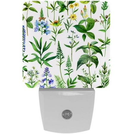 

Watercolor Green Plants Seamless Pattern 2 Pack Night Lights Plug Into Wall Decorative With Auto Dusk-To-Dawn Sensor LED Night Light For Kids Adults Rooms Toilet Hallway Stairs