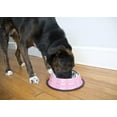 thumbnail image 5 of Iconic Pet 2-Pack Color Splash Stripe Non-Skid Pet Bowl, For Dog or Cat, Pink, 24 Oz, 3 Cup, 5 of 7