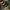 MILITARY CAMO, variant on District Distressed Military Hat-One Size (Olive)
