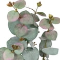 thumbnail image 3 of Tige longue d'eucalyptus artificiel Mainstays, 3 of 5