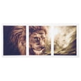 thumbnail image 1 of Pintura Sin Marco, Con Lienzo Impreso Elástico 3 Piezas De Inyección De Tinta Para Computadora Decoración Del Hogar Pintura Decorativa, Hogar Para Sala De Estar Fyydes Lion Painting Wall Art, 1 of 8