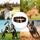 thumbnail image 5 of Dinheiro Collar para perros Cuero - suave hecho de cuero auténtico Latigo, 5 of 5