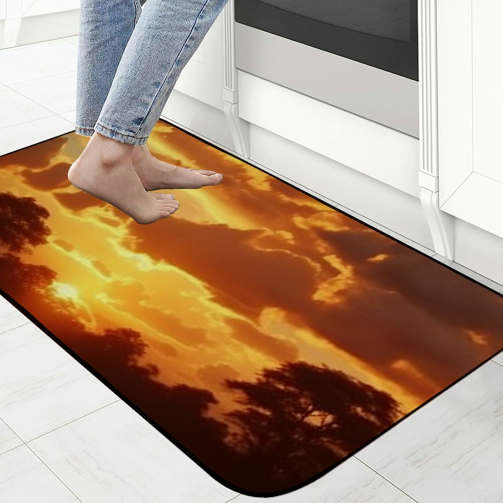 Qinduosi Decorative Door Mat, Door Mat with Non-Slip Rubber Backing, Easy Cleaning, Traps Dirt, for Entry, Patio, Garage 19.68*47.24 in