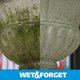 thumbnail image 3 of Quitamanchas Wet & Forget Outdoor, 1,89 L, musgo, moho, algas, 3 of 9