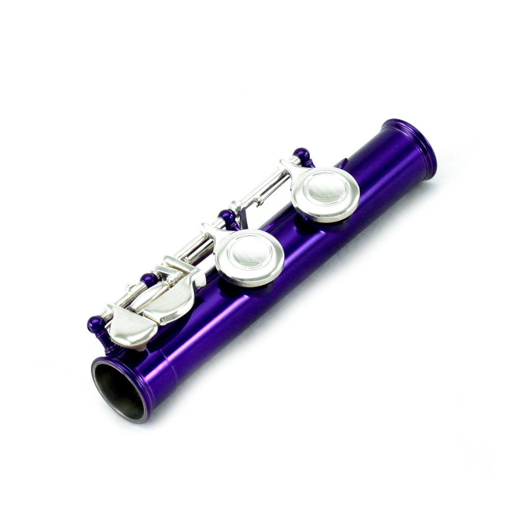 Sky C Flute with Lightweight Case, Cleaning Rod, Cloth, Joint Grease and Screw Driver - Blue/Silver Closed Hole