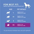 thumbnail image 4 of Pañales desechables para perros, solución simple para perros machos, juguete, 4 of 8
