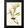 thumbnail image 2 of Audubon, John James 17x24 Black Modern Framed Museum Art Print Titled - Kentucky Warbler, 2 of 5