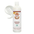 thumbnail image 3 of Creme of Nature Coconut Milk Detangling & Conditioning Shampoo, 12 fl oz, 3 of 8