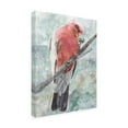 thumbnail image 2 of Stellar Design Studio 'Tropic Parrot I' Canvas Art, 2 of 3