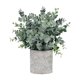 thumbnail image 1 of Plantas artificiales pequeñas en maceta, plantas de imitación en maceta, vegetación decorativa, simulación Hierba de hoja redonda, 1 of 9