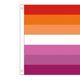 thumbnail image 3 of Del Orgullo Gay Al Aire Libre 60x90cm Colorida para Transgénero Lesbiana, 3 of 9