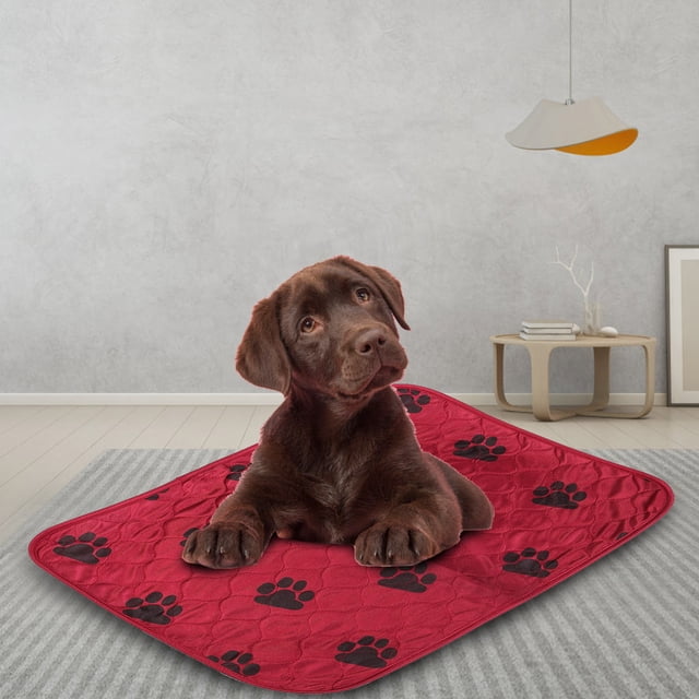 Dog Pee Mats, Strong Absorb Ability Dog Training Pads Machine Washable Tumble Dry Low Dog Pee Pads Lovely Pattern Design Waterproof Dog Urine Mats