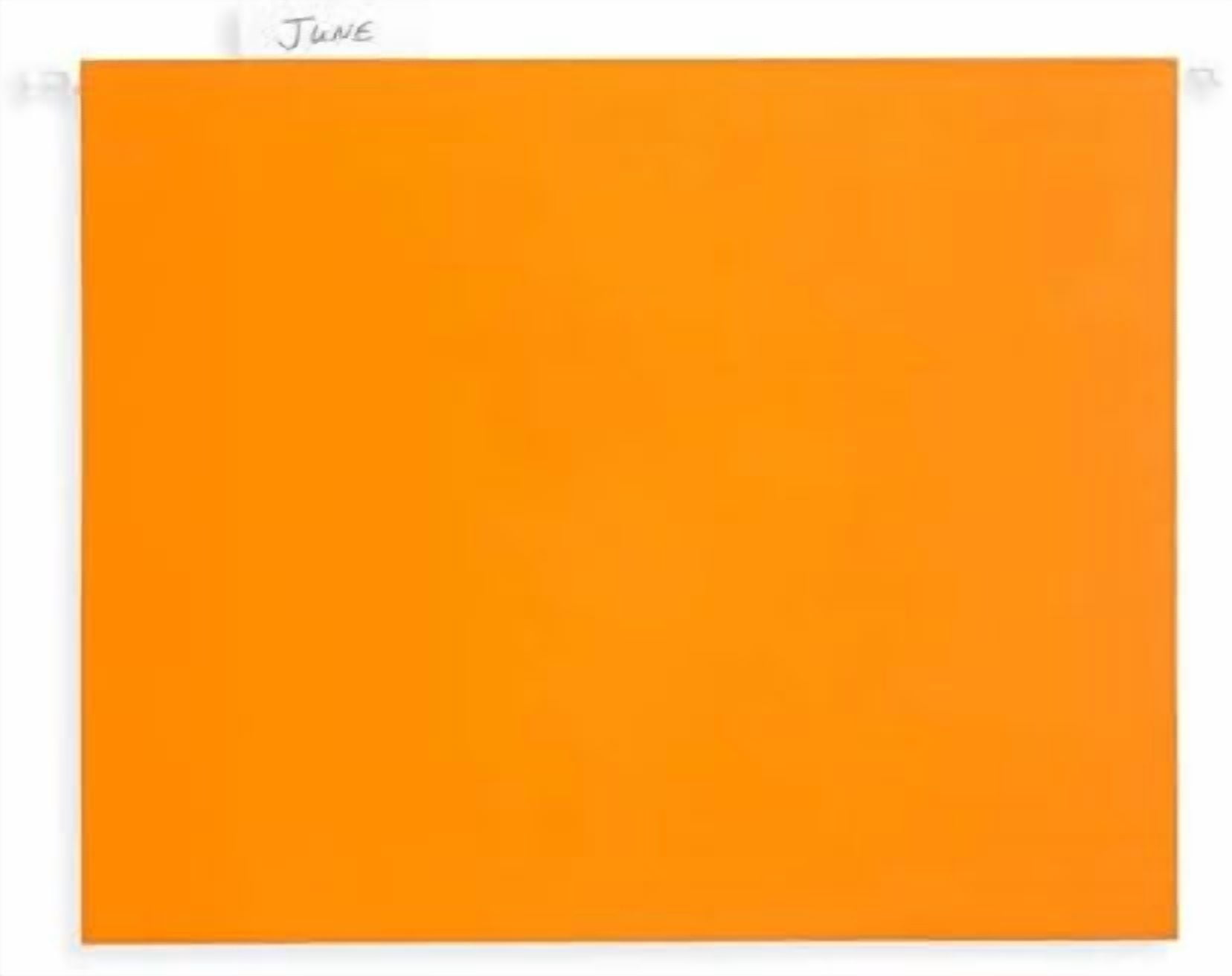 Hanging File Folders, 25 Reinforced Hang Folders, Designed for Home and Office Color Coded File Organization, Letter Size, Orange, 25 Pack