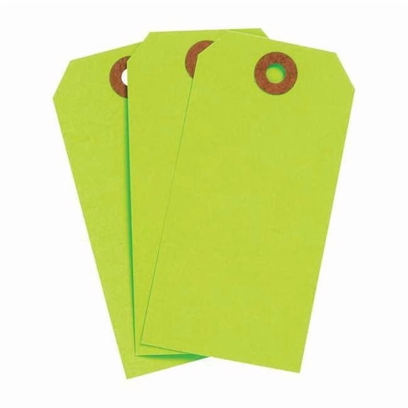 Brady Blank Tag,Cardstock,Colored,PK1000 102067