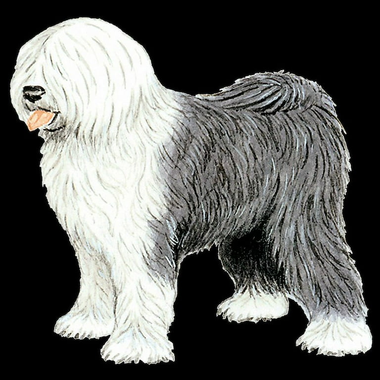 CafePress Old English Sheepdog Women s Dark Pajamas