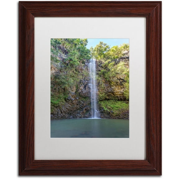 Trademark Fine Art 'Secret Falls' Canvas Art by Pierre Leclerc, White Matte, Wood Frame