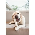 thumbnail image 3 of Nylabone Power Chew Knuckle Bone Dog Toy, Dog Chew Toy, Chicken Flavor, X-Large, 1 Count, 3 of 12
