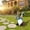 C, variant on Patriotic Independence Day Metal Stake Gnome Garden Decor – No-Face Gnome Figurine With Sturdy Metal Spike, Perfect for Outdoor Lawn, Flower Bed or Pathway Display During 4th of July Celebrations