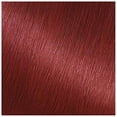 thumbnail image 2 of Garnier Hair Color Nutrisse Nourishing Creme, 66 True Red (Pomegranate), 2 Count, 2 of 11