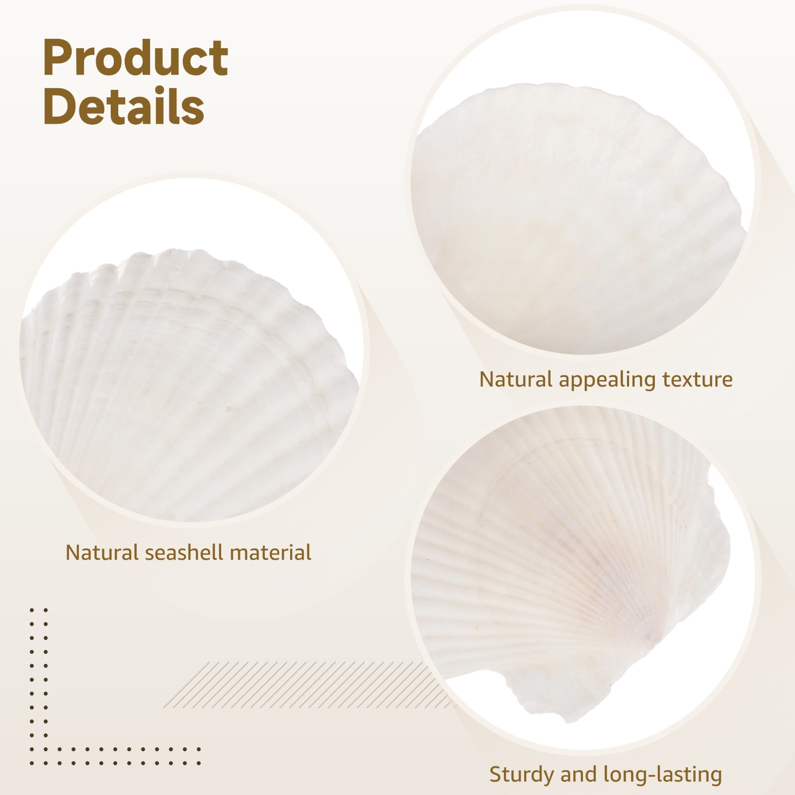 25 Pcs Scallops Shells, 4-5 Inches Large White Seashells, DIY Handcraft Materials, Perfect for Crafts Painting, Beach Theme Parties Wedding and Aquarium Fish Tank Decor