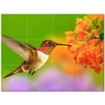 thumbnail image 1 of Bird Ceramic Tile Mural Kitchen Backsplash Bathroom Shower 402119-S43, 1 of 3