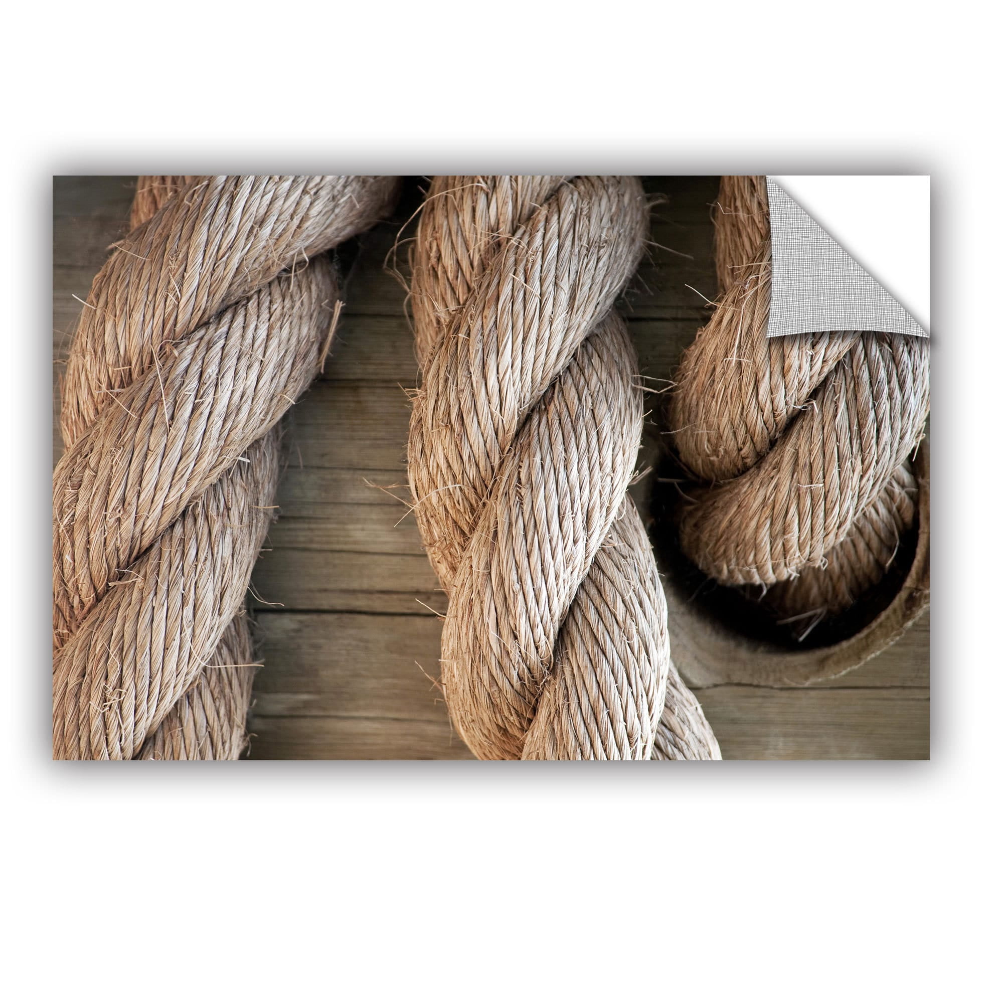 ArtAppealz Dan Holm "Rope in A Hole" Removable Wall Art