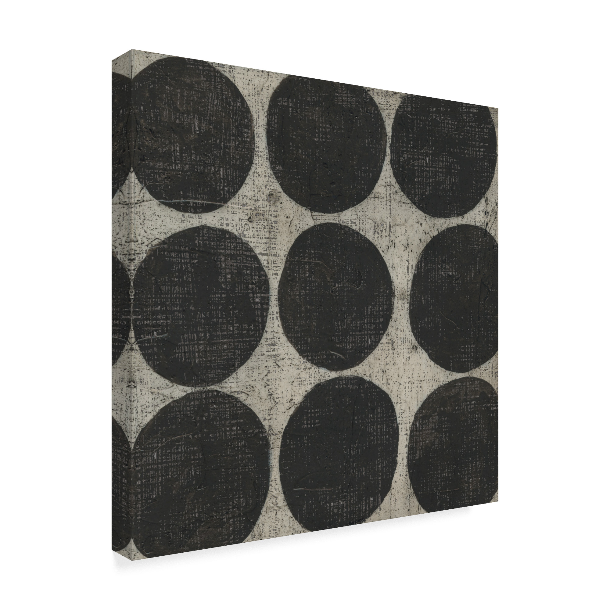 Trademark Fine Art 'Stone III' Canvas Art by Chariklia Zarris