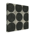 thumbnail image 2 of Trademark Fine Art 'Stone III' Canvas Art by Chariklia Zarris, 2 of 4