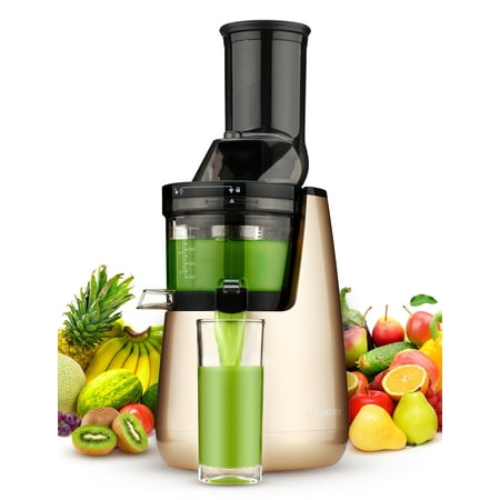 Ainfox Masticating Juicer with Low Speed Technology for Retaining Nurtients Masticating Juicer 250Watt Quietly Motor 50RPMs Slow Masticating