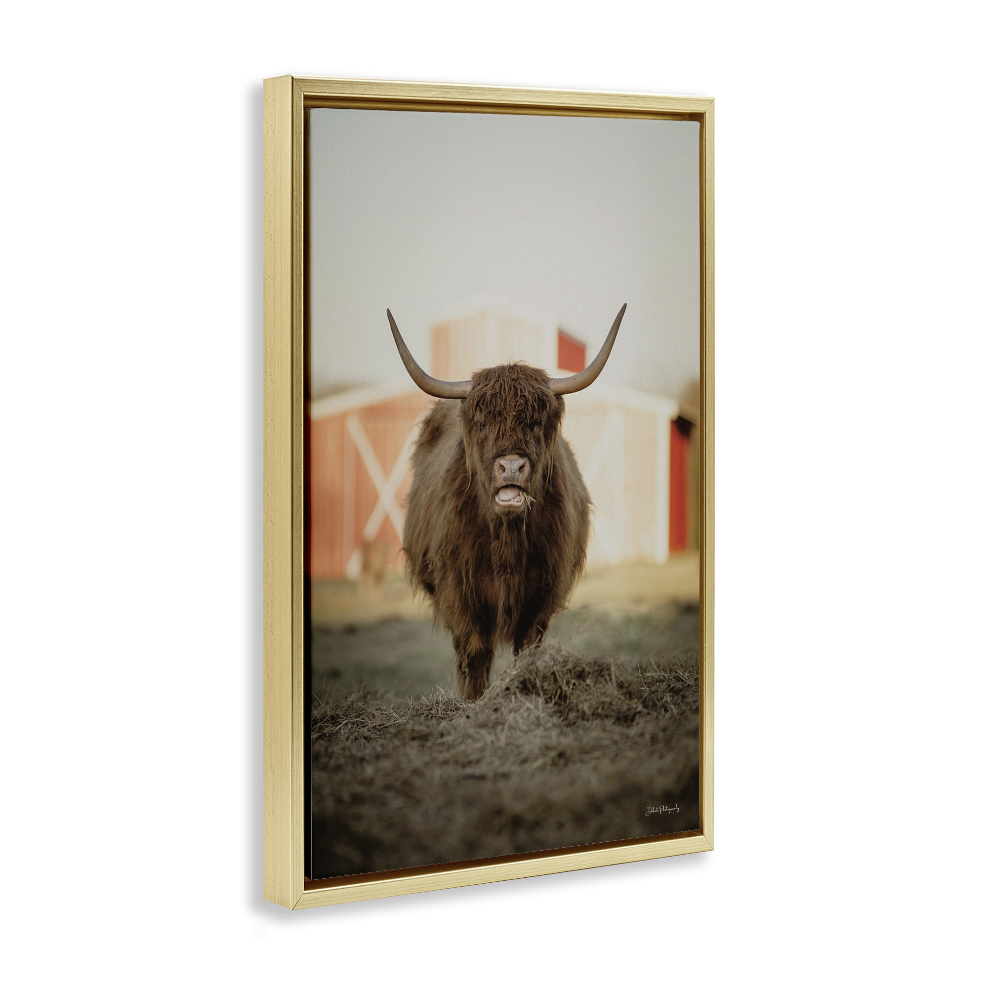 Stupell Industries Cattle on Farm Field Animals & Insects Photography Gold Floater Framed Canvas Art Print Wall Art, 21 x 31
