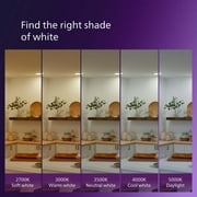 Philips Ultra Definition LED 60-Watt A19 Light Bulb, Frosted Daylight, Dimmable, E26 Base (4-Pack)