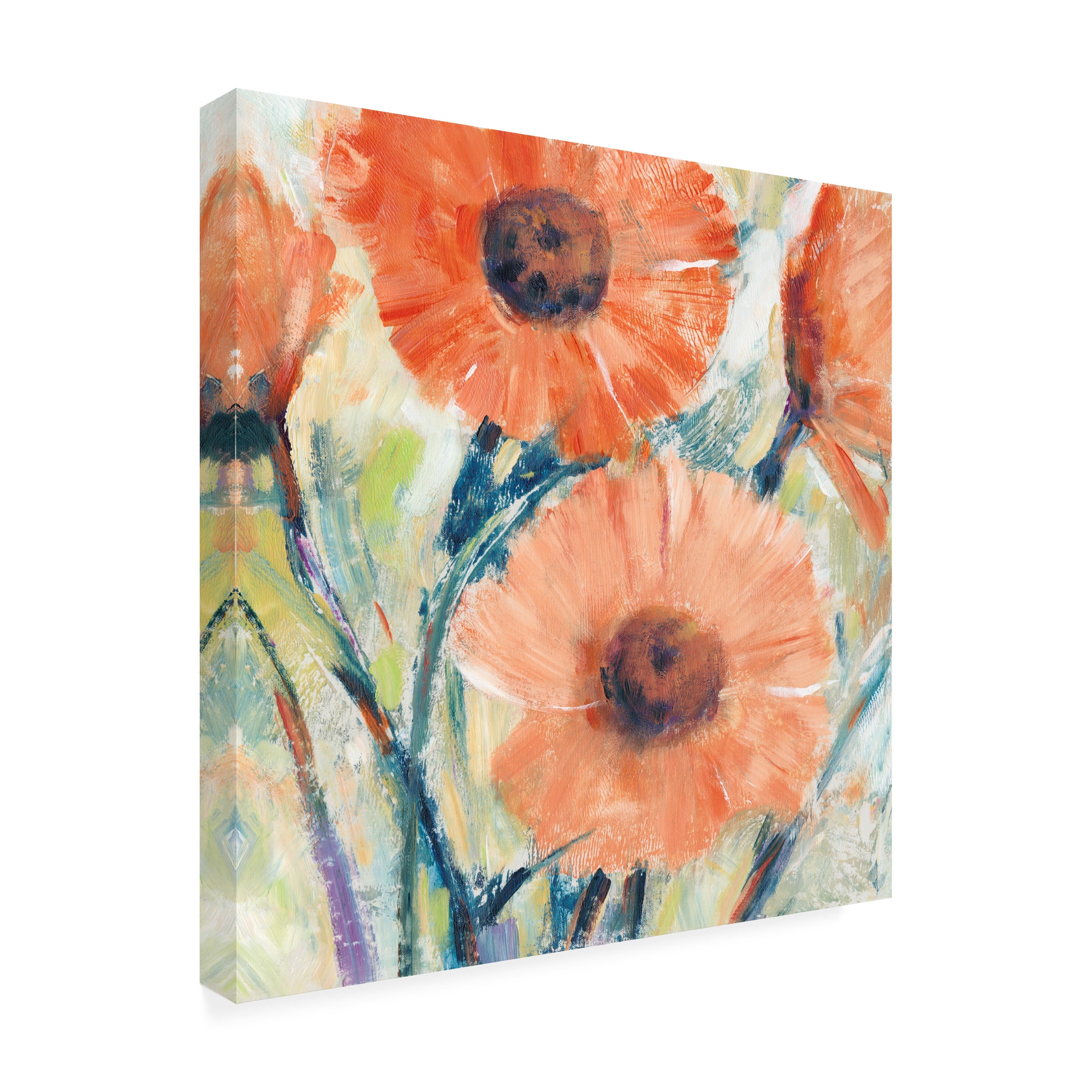 Tim O Toole 'Flowers in Bloom II' Canvas Art