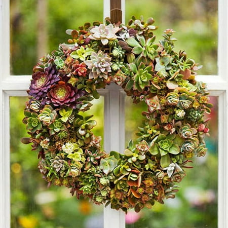 Wrought Iron Hanging Pot Holder - 8.2''/9''/10.6'' Heart /Ring Shape Succulent Hanging Frame Succulent Plant Holder Wreath Frame Metal Planter Holder Iron Wire Hanging Flower Pot Home Garden Patio Decoration