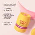 thumbnail image 3 of Burt's Bees Raspberry Lip Butter Balm, Twist Up Dispenser, 0.5 Oz., 3 of 15