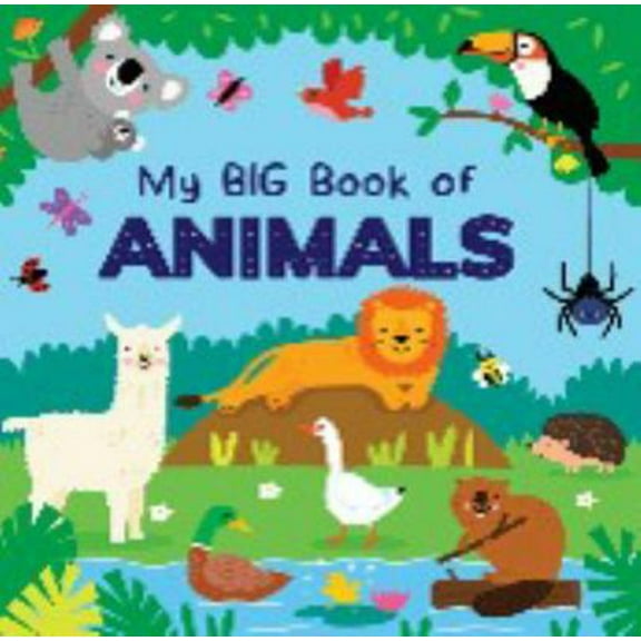 Pre-Owned My Big Book of Animals (Unknown) 1648330525 9781648330520
