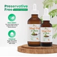 thumbnail image 2 of Preservative-Free Liquid Monk Fruit & Stevia Drops – Organic Monk Fruit & Organic Stevia Blend for Clean, Sugar-Like Sweetness – 0 Calories, 0 Carbs – 2400 Servings – 4 fl oz Glass Bottle, 3 Pack, 2 of 6