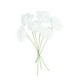 thumbnail image 4 of Raindrops 50Pcs White Foam Rose Artificial Wedding Bouquet for Decorative Special Occasions, 4 of 4