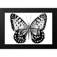 thumbnail image 2 of Warren, Annie 24x17 Black Modern Framed Museum Art Print Titled - Monochrome Wings Whole I, 2 of 5