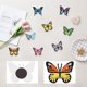 thumbnail image 5 of Imán para refrigerador DIY 8 Uds. en forma Especial Wdftyju Mariposa colorida, 5 of 9