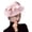 Blush Pink, variant on Fascinators Hat Mesh Veil Feathers Hat with a Headband and a Clip Tea Party Headwear for Women
